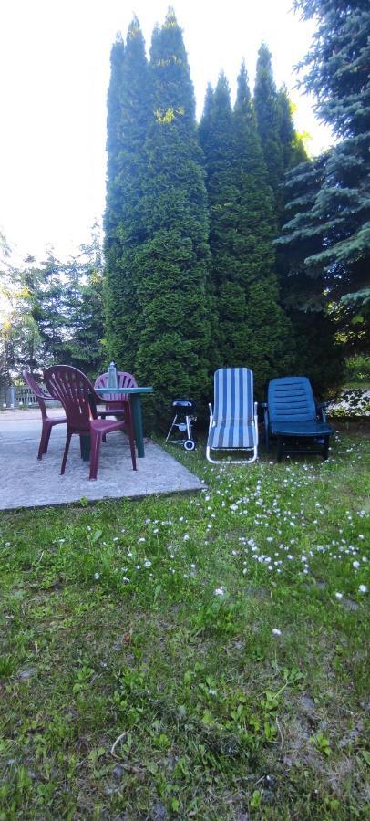 Apartamenty z ogrodem 1 Mrągowo Zewnętrze zdjęcie